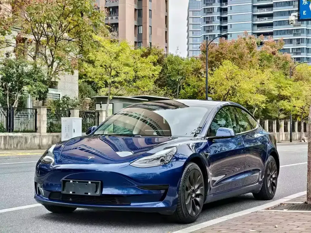 Tesla Model 3 2021 из CN, фото 1