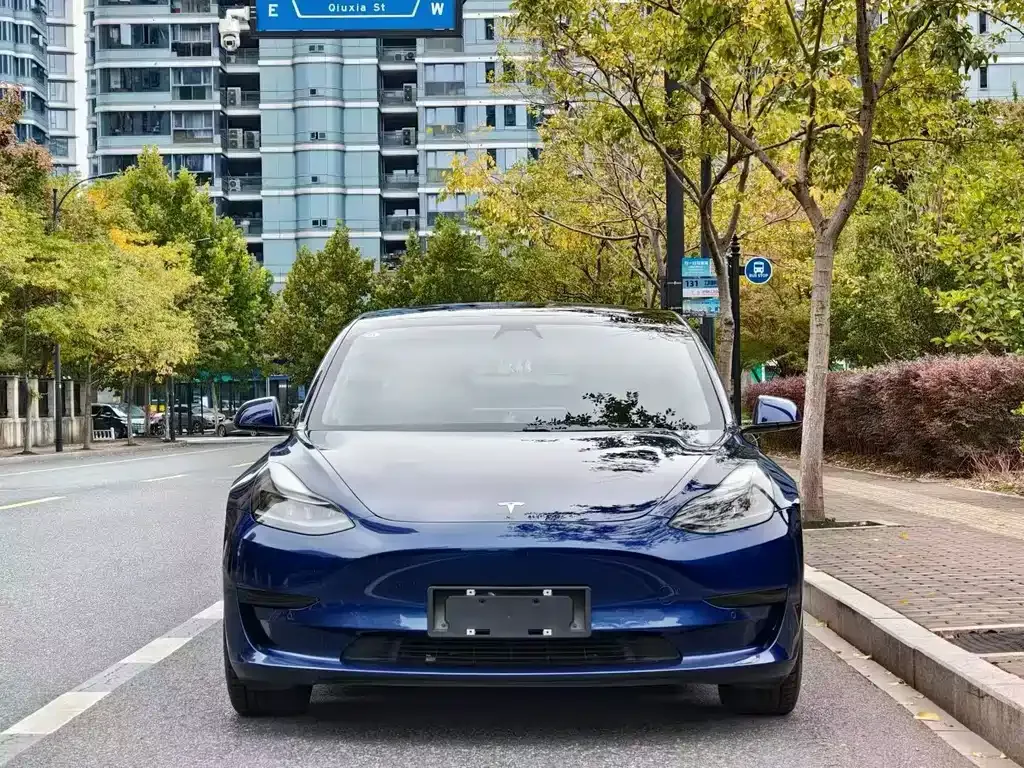 Tesla Model 3 2021 из CN, фото 4