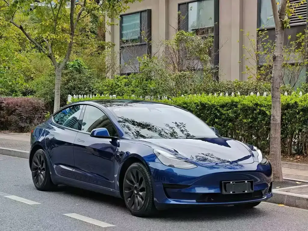 Tesla Model 3 2021 из CN, фото 8
