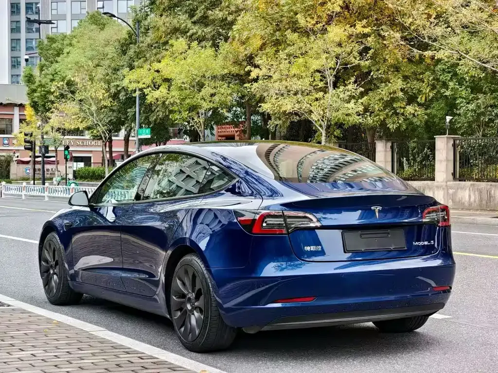 Tesla Model 3 2021 из CN, фото 6