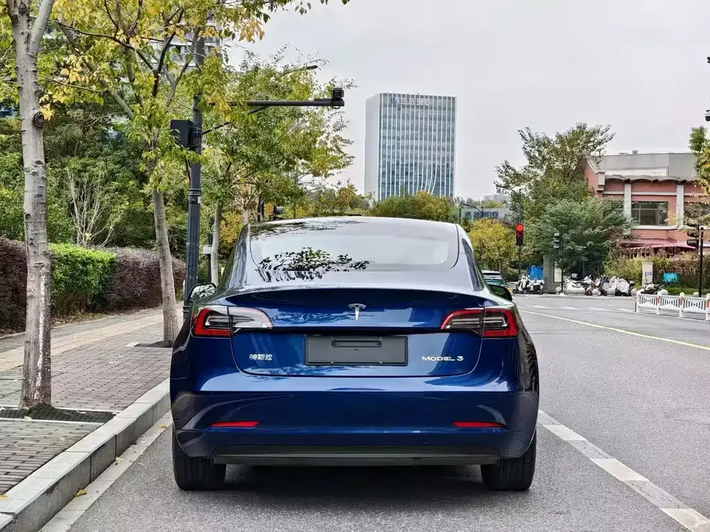 Tesla Model 3 2021 из CN, фото 7