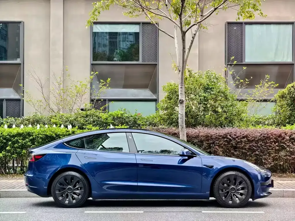 Tesla Model 3 2021 из CN, фото 5