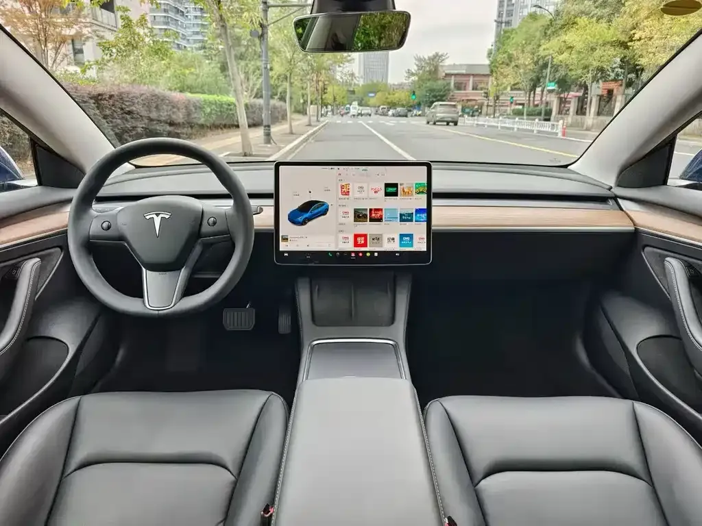 Tesla Model 3 2021 из CN, фото 3