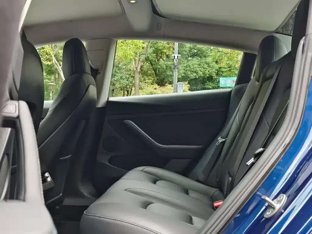 Tesla Model 3 2021 из CN, фото 9