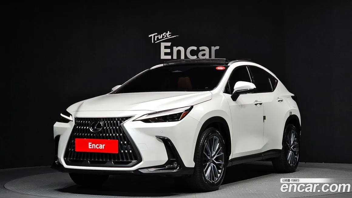 Lexus NX 2025 из KR, фото 1