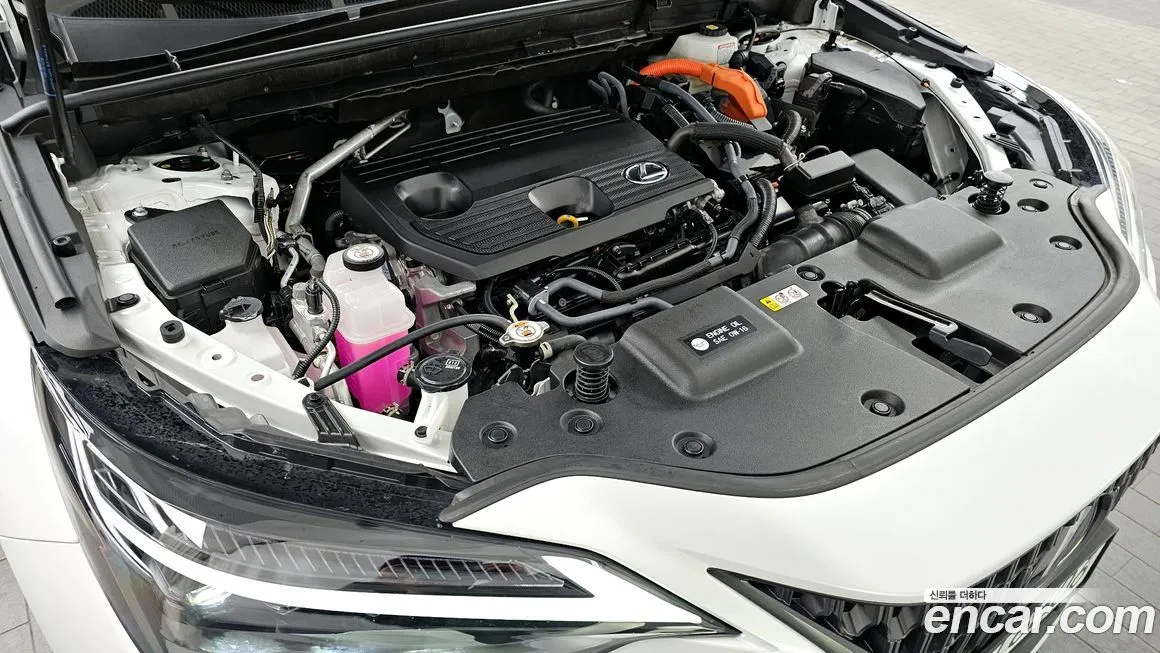 Lexus NX 2025 из KR, фото 9