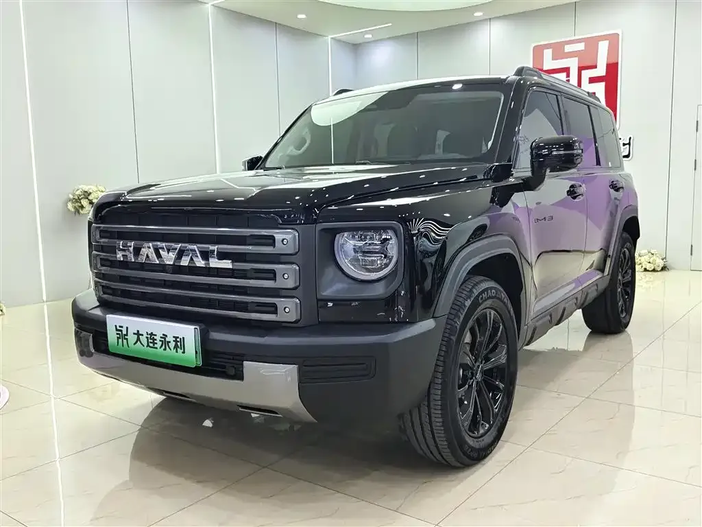 Haval Menglong New Energy — фото 1