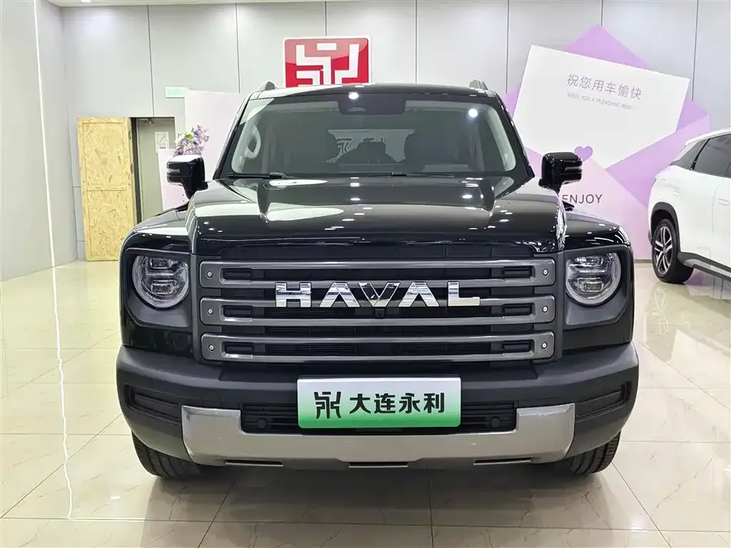Haval Menglong New Energy — фото 3