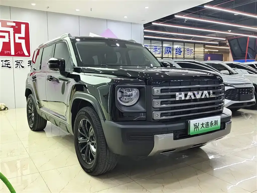 Haval Menglong New Energy — фото 2