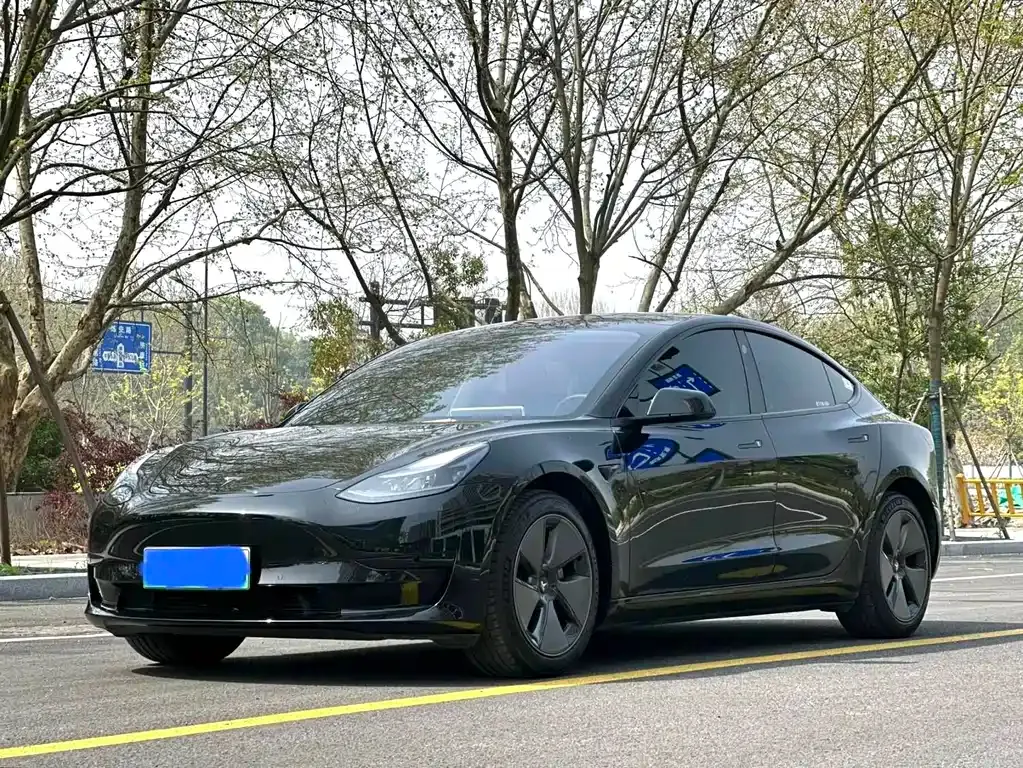 Tesla Model 3 2023 из CN, фото 1