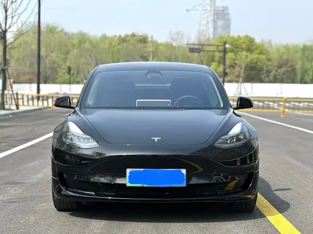 Tesla Model 3 2023 из CN, фото 2