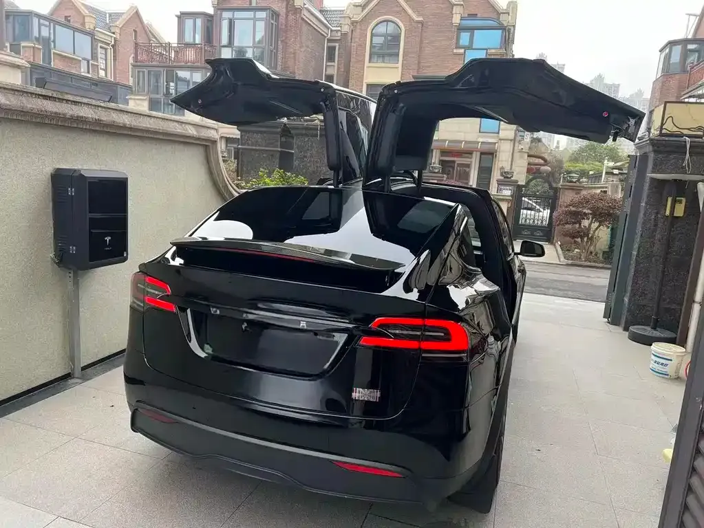 Tesla Model X 2024 из CN, фото 9