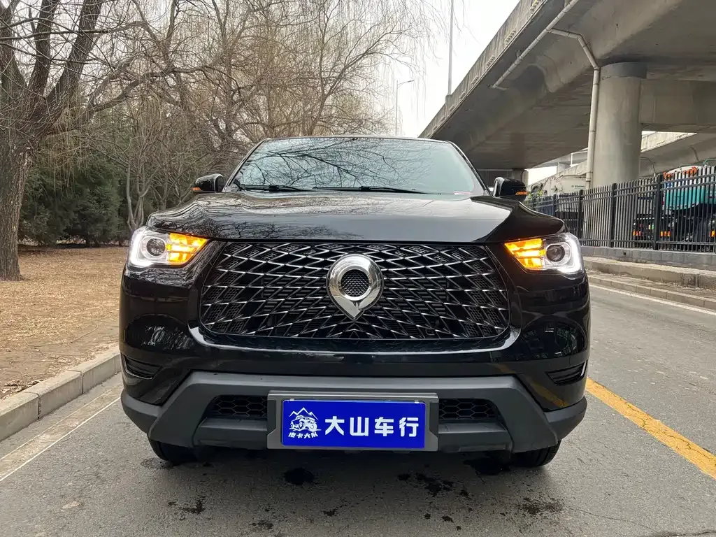 Great Wall Pao 2023 из CN, фото 4
