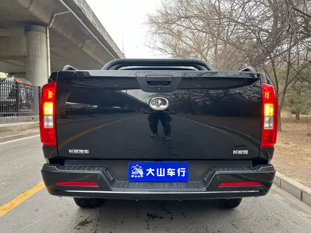 Great Wall Pao 2023 из CN, фото 9
