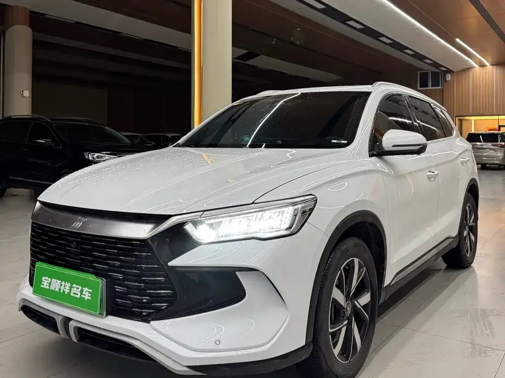 BYD Pro New Energy — фото 1