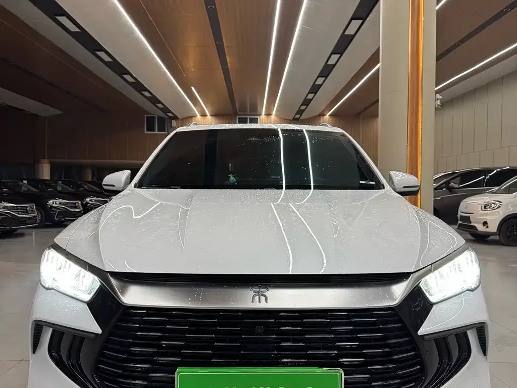 BYD Pro New Energy — фото 5