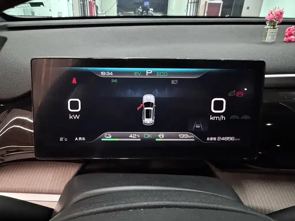 BYD Pro New Energy — фото 9