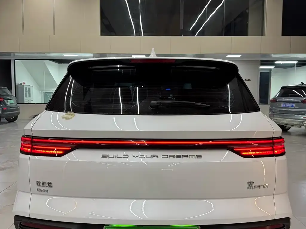 BYD Pro New Energy — фото 8