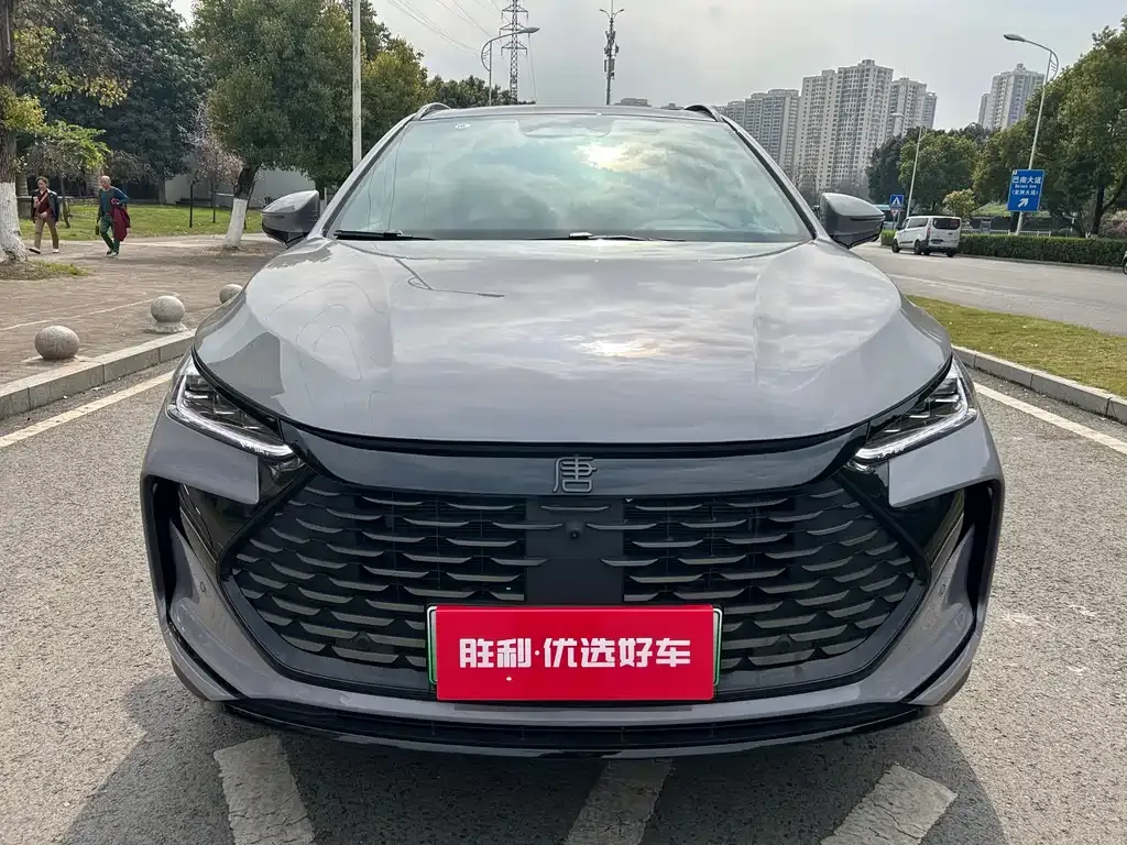 BYD Tang New Energy — фото 5