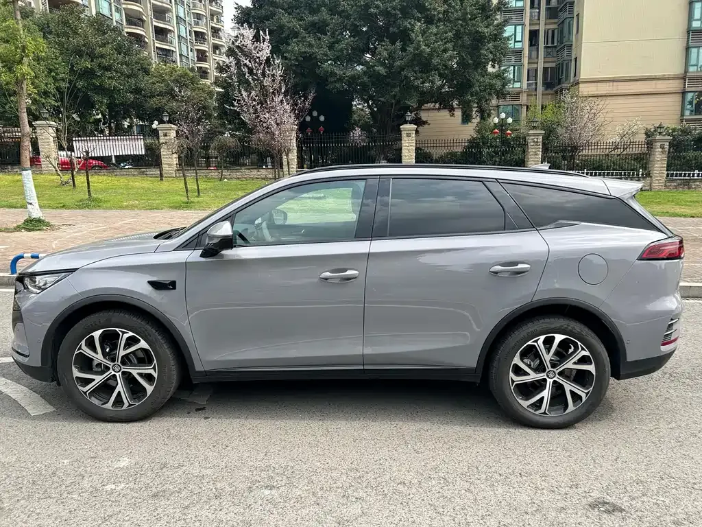 BYD Tang New Energy — фото 10
