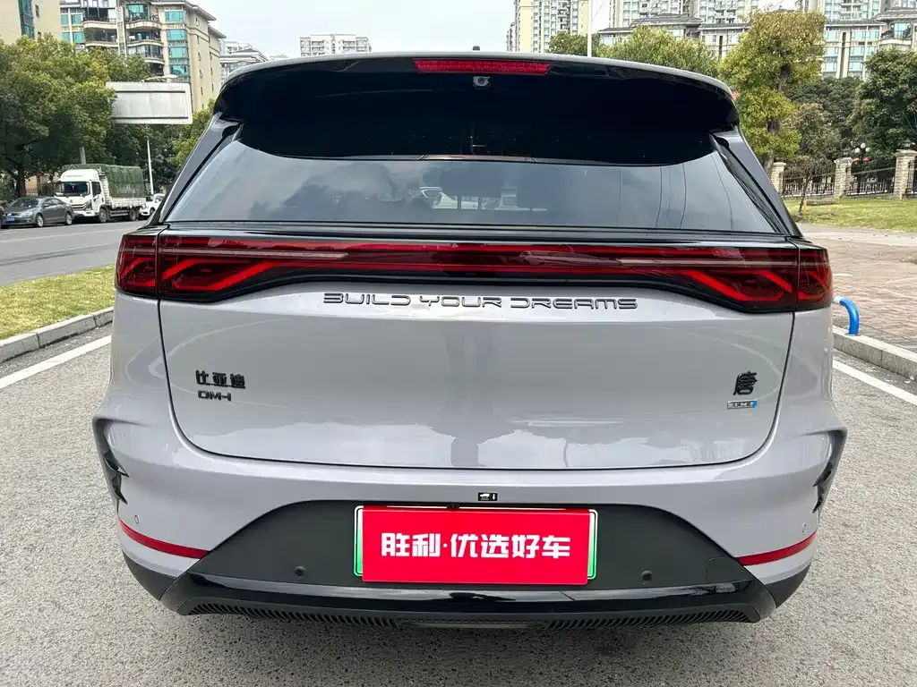 BYD Tang New Energy — фото 2
