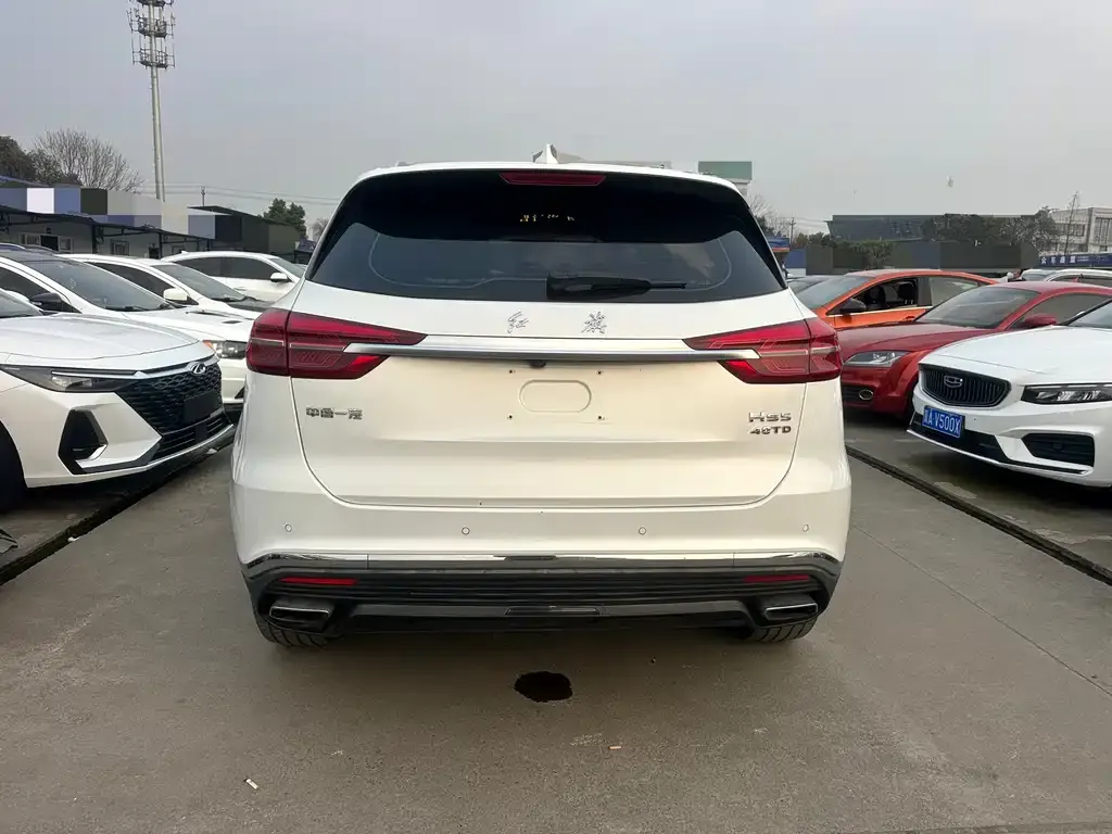 Hongqi HS5 2021 из CN, фото 7