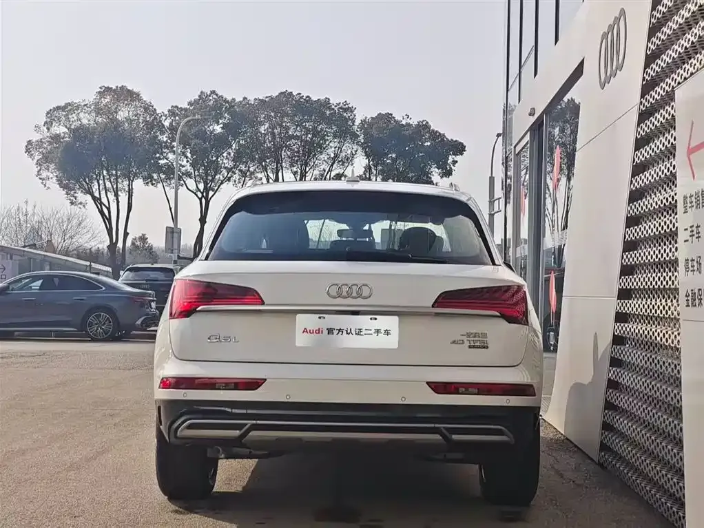 Audi Q5L 2024 из CN, фото 9