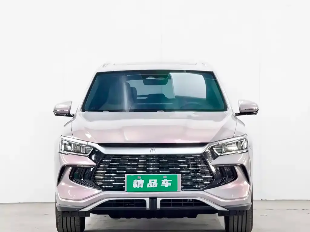 BYD Pro New Energy — фото 7