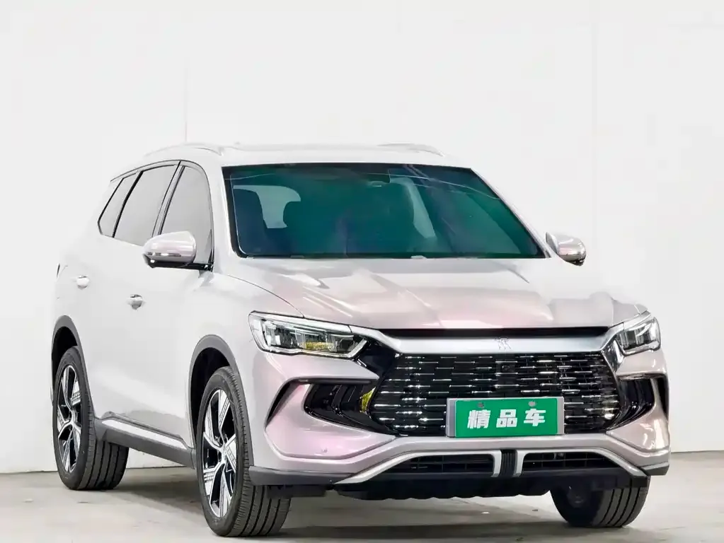BYD Pro New Energy — фото 5