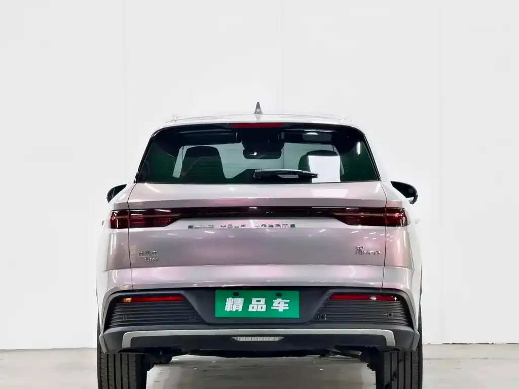 BYD Pro New Energy — фото 4