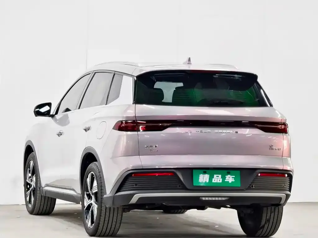 BYD Pro New Energy — фото 8