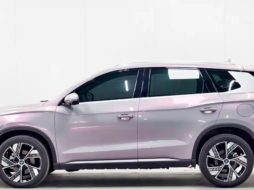 BYD Pro New Energy — фото 3