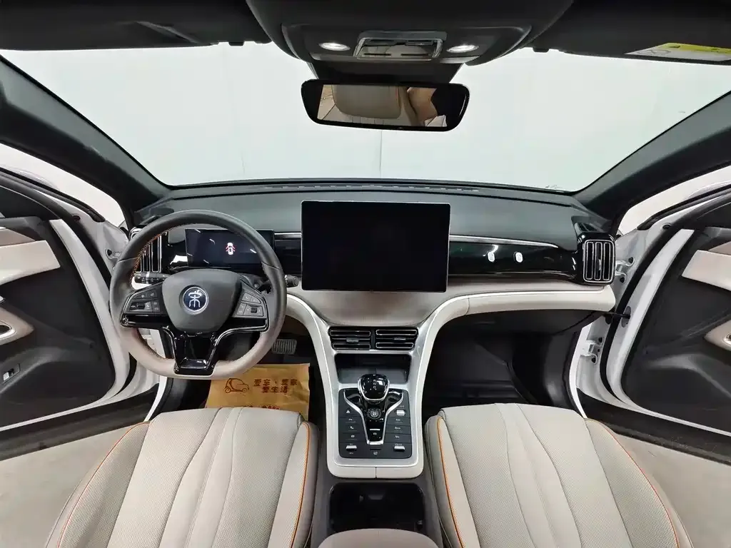 BYD Pro New Energy — фото 10