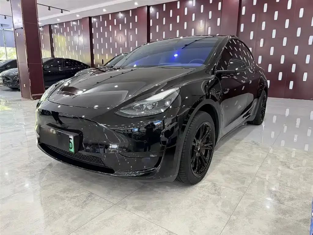 Tesla Model Y — фото 1