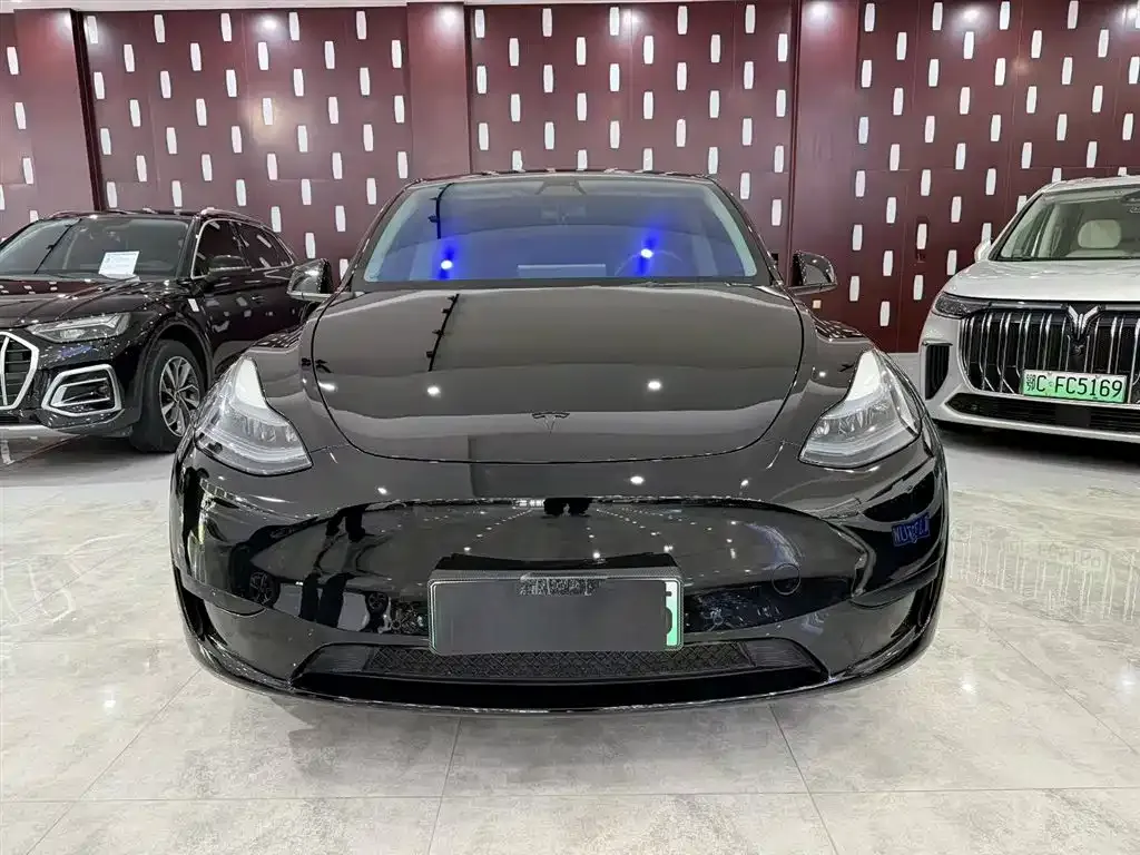 Tesla Model Y — фото 8