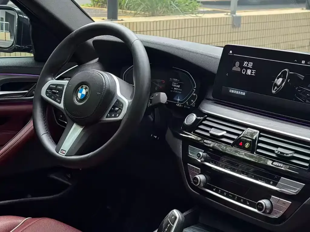 BMW 5 Series New Energy 2021 из CN, фото 8