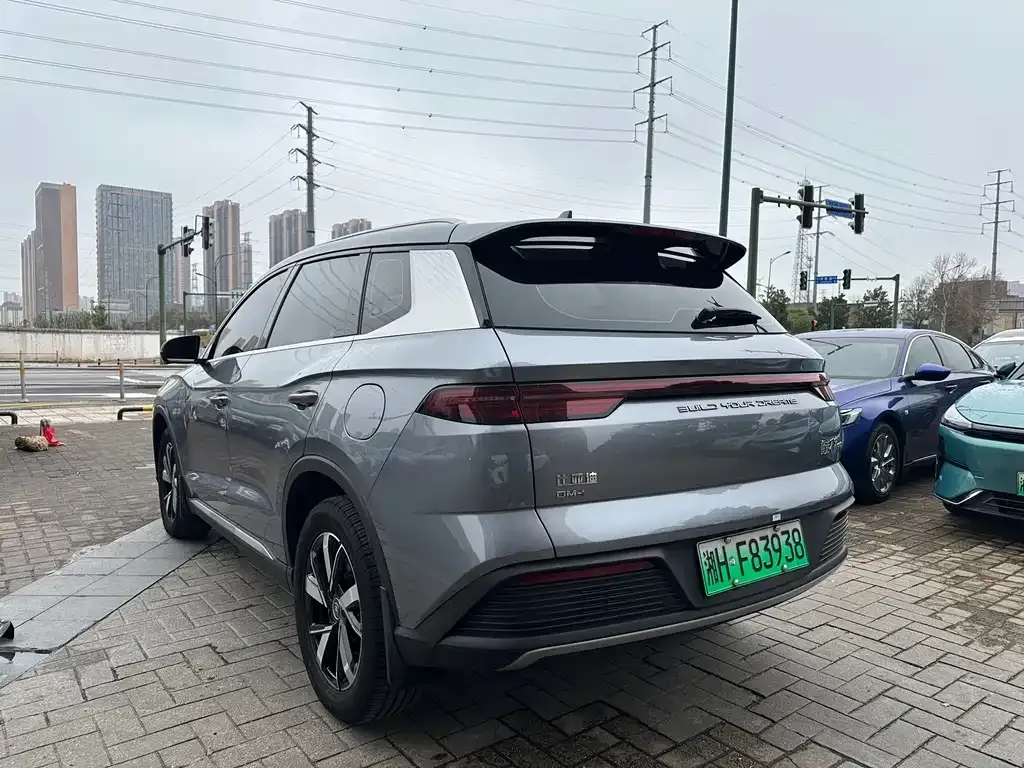 BYD Pro New Energy — фото 4