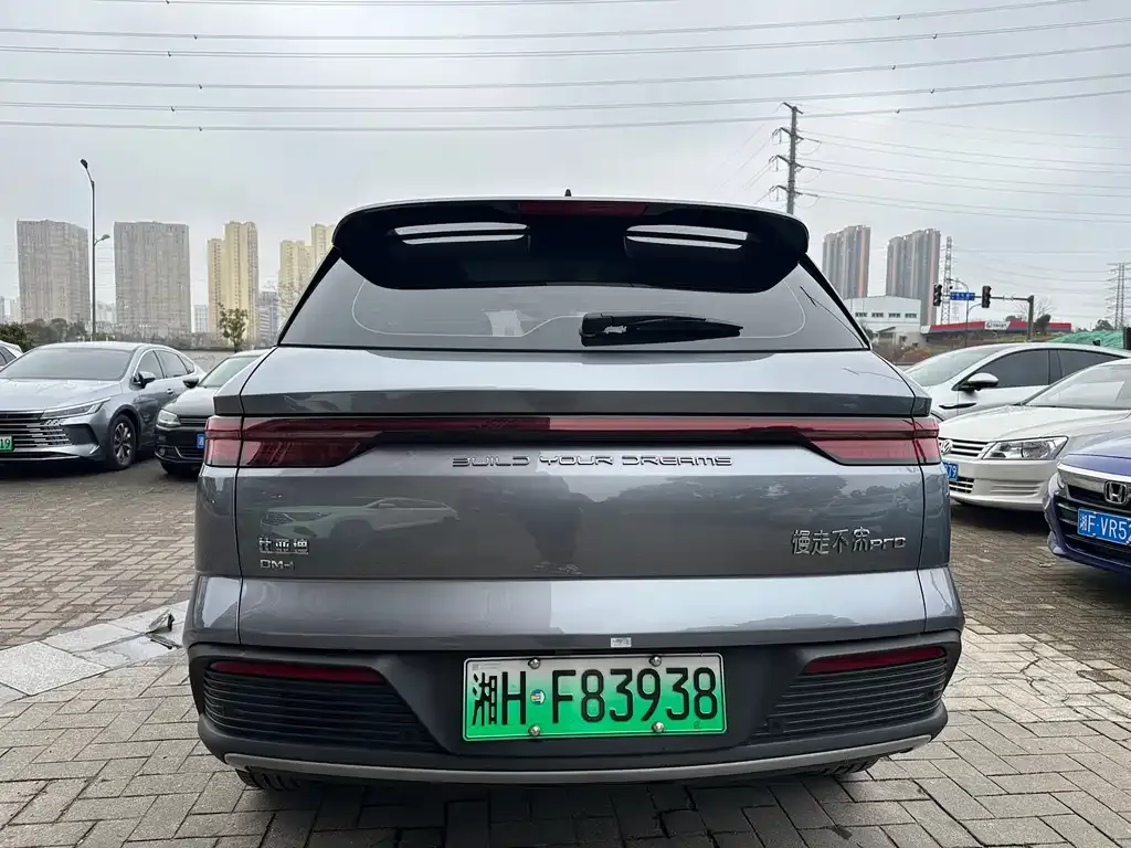 BYD Pro New Energy — фото 6