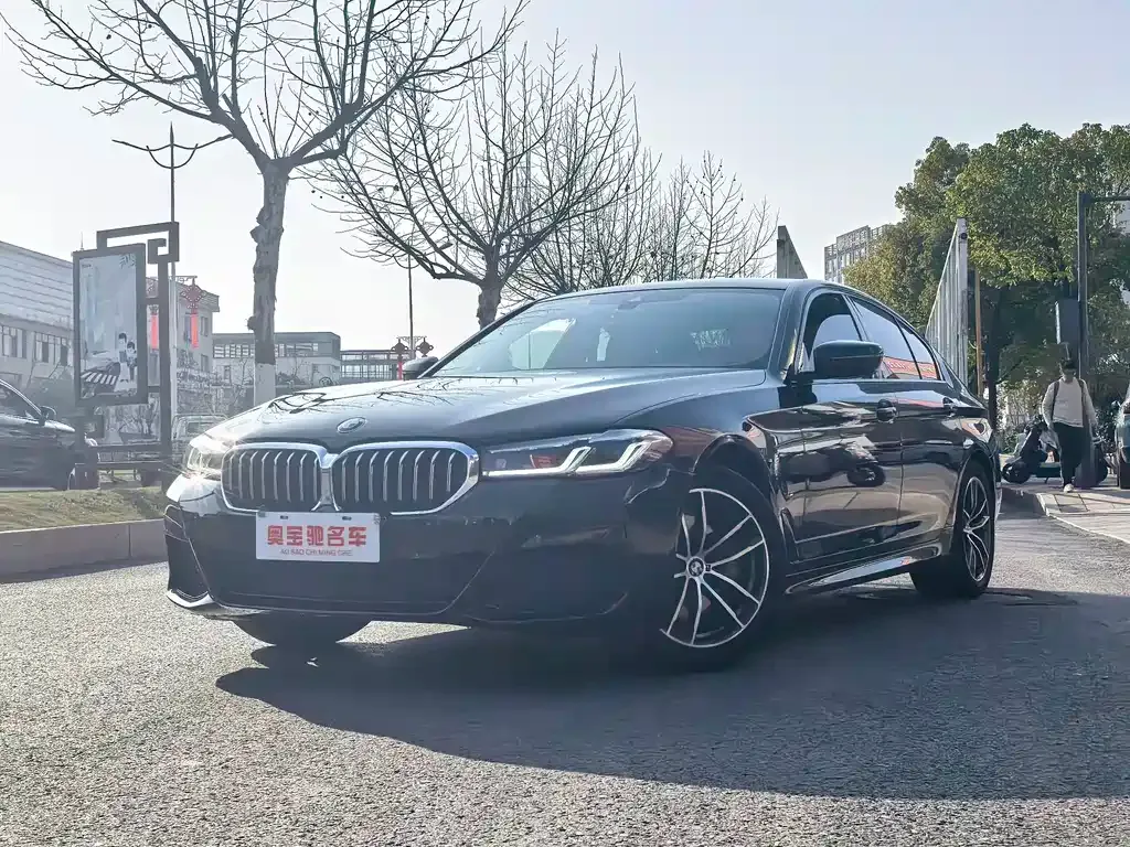 BMW 5 Series (Import)