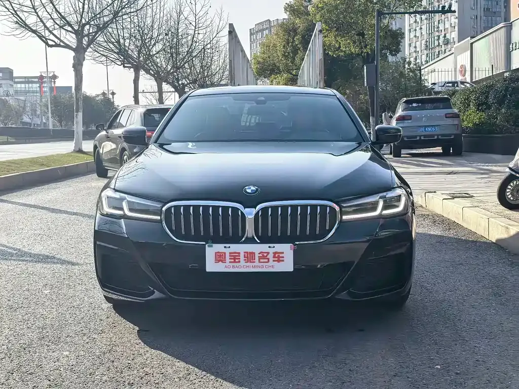BMW 5 Series (Import) 2021 из CN, фото 6