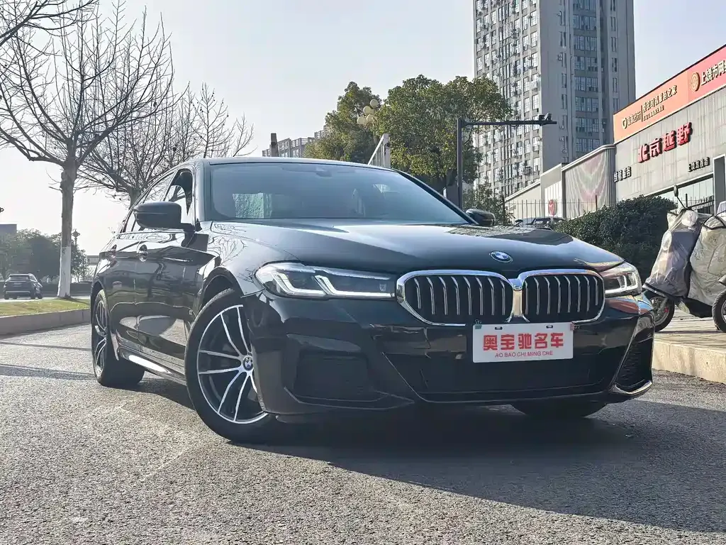 BMW 5 Series (Import) 2021 из CN, фото 8