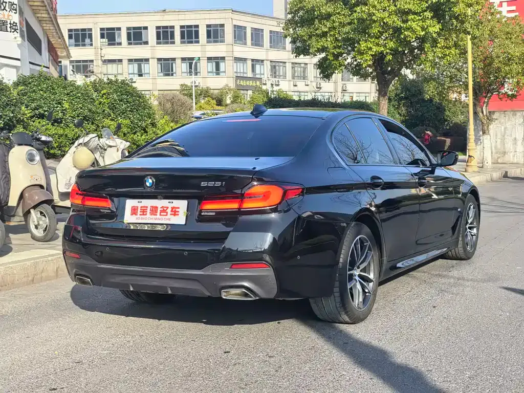 BMW 5 Series (Import) 2021 из CN, фото 7