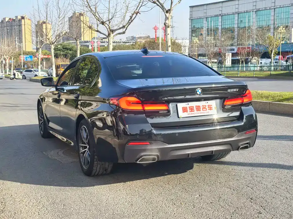 BMW 5 Series (Import) 2021 из CN, фото 5