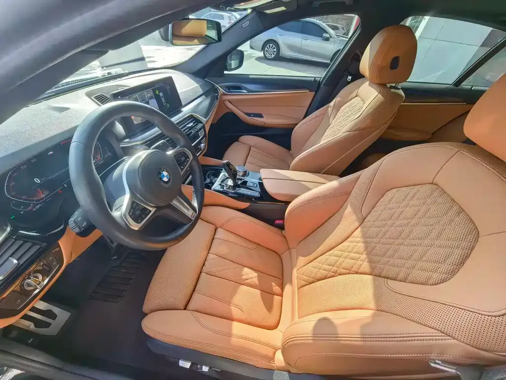 BMW 5 Series (Import) 2021 из CN, фото 10