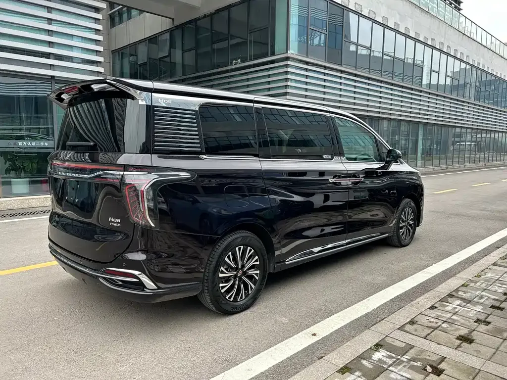 Hongqi HQ9 PHEV 2024 из CN, фото 10