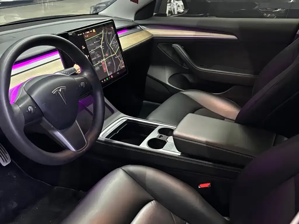 Tesla Model 3 2021 из CN, фото 4