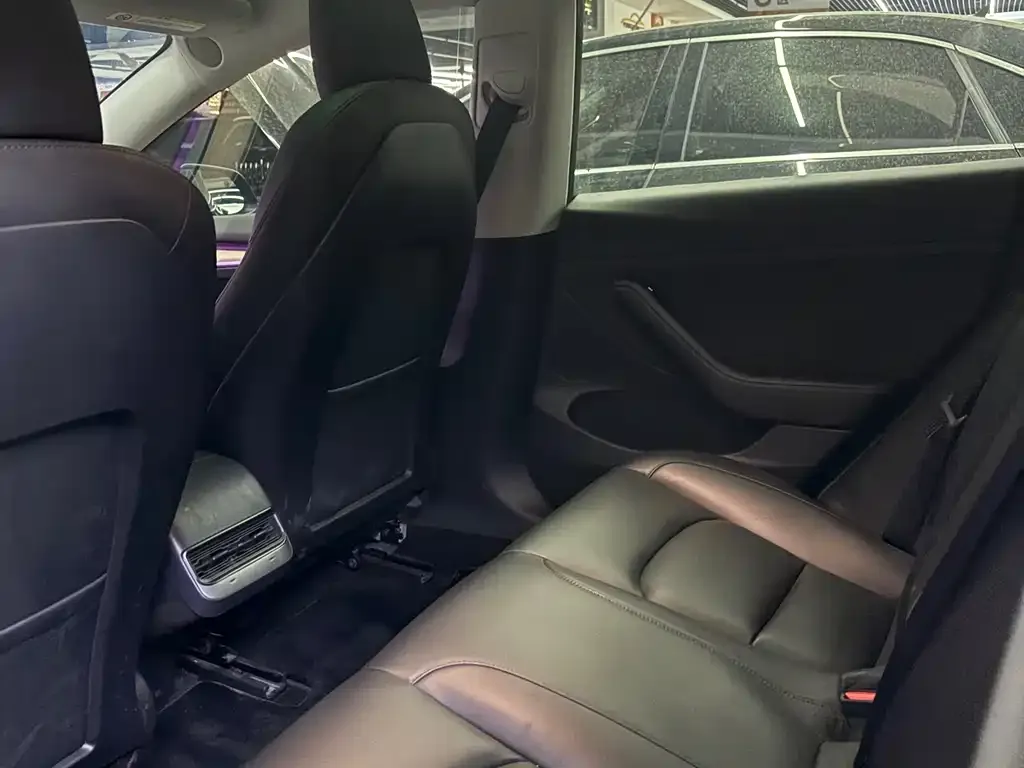Tesla Model 3 2021 из CN, фото 2