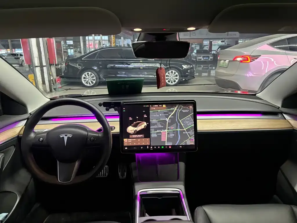 Tesla Model 3 2021 из CN, фото 6