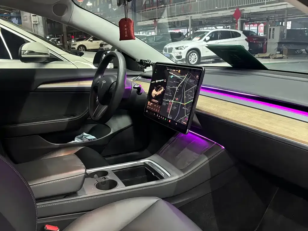 Tesla Model 3 2021 из CN, фото 5