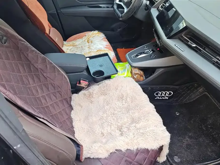 Audi Q5 e-tron 2024 из CN, фото 6